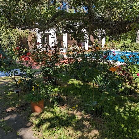 Casa Pura Vida 호텔 푼타 발레나 외부 사진